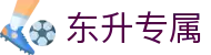 东升专属 - 极致服务只为独特的你存在